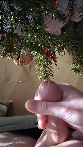 Fertilizer for Christmas Tree