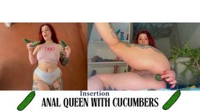Anal insertions
