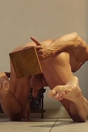 Fan Videos