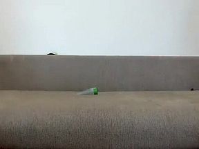 Amateur Couple With Anal Toys 03