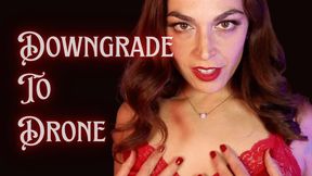 DOWNGRADE To Drone