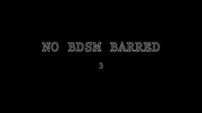 No BDSM Barred 3
