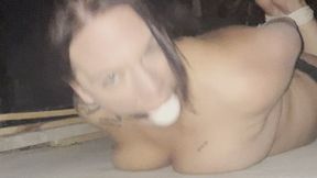 Garage Hogtie