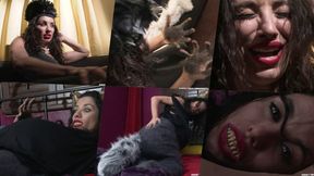 A Short Canine Transformation