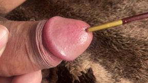 urethral sounding close up