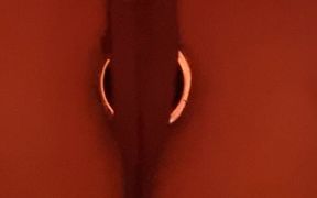 POV: Buttplug Pushdowns on You