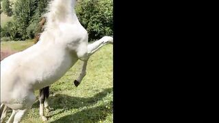 Tiny Teenagers Banged! Outdoor By A Big Dick - Mini