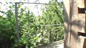 pet
