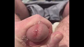 Amateur Ginger Bear putting in work