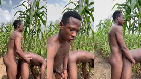 got horny in the bush