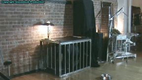 Taking care of her gimp puppy Full HD (1080p) starring Goddess Starla