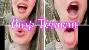 Burp Torment *wmv*
