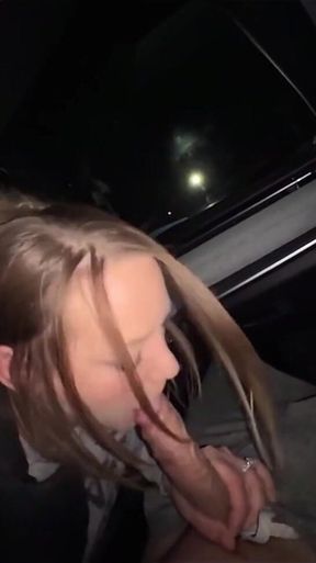 Flashing Tits and Toilet Fun Before Getting Fucked