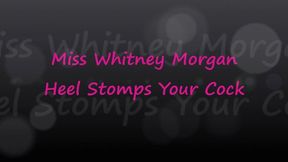 Miss Whitney Morgan Heel Stomps Your Pathetic Cock - mp4