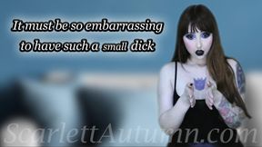It must be so embarrassing to have such a small dick