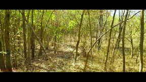 Lady Alice demo 06 Beauty and Sexuality (mesmerize version) 4K UHD 60FPS HDR