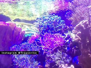 "The Concupiscent One" - Porn Story Audio