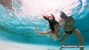 Aquaphilias- Innocent Interloper Bunny Fae Skinny Dips in Forbidden water and pays the Price- PERIL