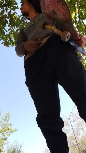 A Normal Day in the Park