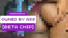 [BetaChip] Owned by Ass