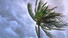 Shaking after rough stuff &mdash;  sweethearts′ sweaty release: 10 minutes of post-coital tremors & moans