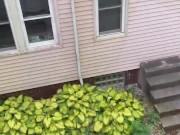 Eddie De Luca Cumming Out Open Window [PREVIEW]