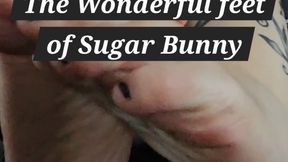 The Wonderful Feet of Sugar Bunny
