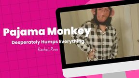 Silly Rachel Rose in Fetish Humping Frenzy