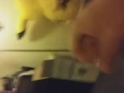 DUMB PUPPY DOESN'T KNOW HOW TO USE A CAMERA