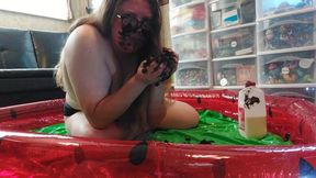 Chocolate Cake Stuffing Feedism