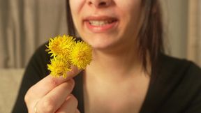 unstoppable sneezing after smelling a yellow flower