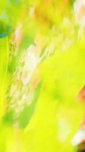 The Fun of Having Sex with Someone Else's Wife Is Different, You Guys