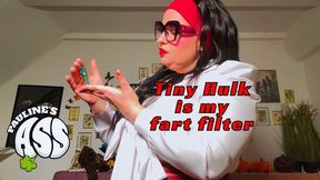 Tiny Hulk is my fart filter mp4