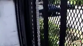 Blindfolded Sasha Grey gets intense hardcore anal