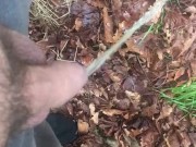 Pissing in public outdoors