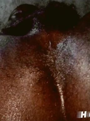 Black Ass on Fest