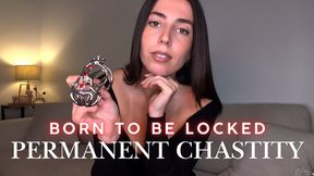 Born to be locked - Permanent chastity punishment - Humiliation