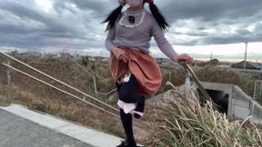 Trainer's Command No. 29: Public Beach Exhibitionism