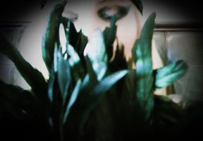 Brain Washed Under My Effects