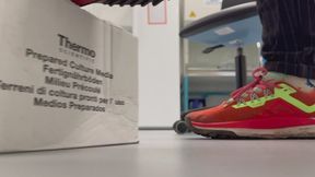 Nike Pegasus Trail Shoe Play Box Crush and Dino sock play