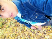Autumn peeing on dry leaves in a park