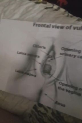 Pussy instruction