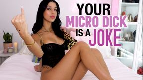 Your Micro Dick Is A Joke