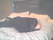 black masked spandex humps masked orca dummy part 2