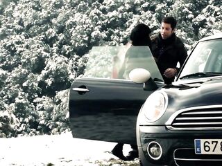 Banging a hitchhiker in the car