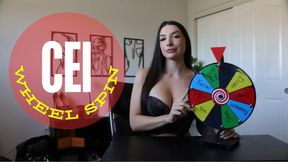 CEI Wheel Spin (Part 3)