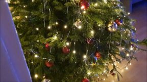 Manfred's wish video