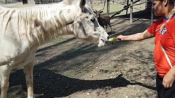 Fiquei toda molhada ao ver o tamanho do membro de um cavalo !!! Queria que meu namorado fosse assim !!! Paty Bumbum, El Toro De Oro