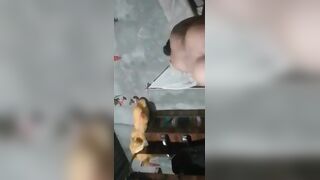 Big-Busty MILF Swinger's Orgy in Rural Paradise