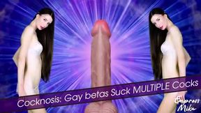 Cocknosis: Gay betas Suck MULTIPLE Cocks